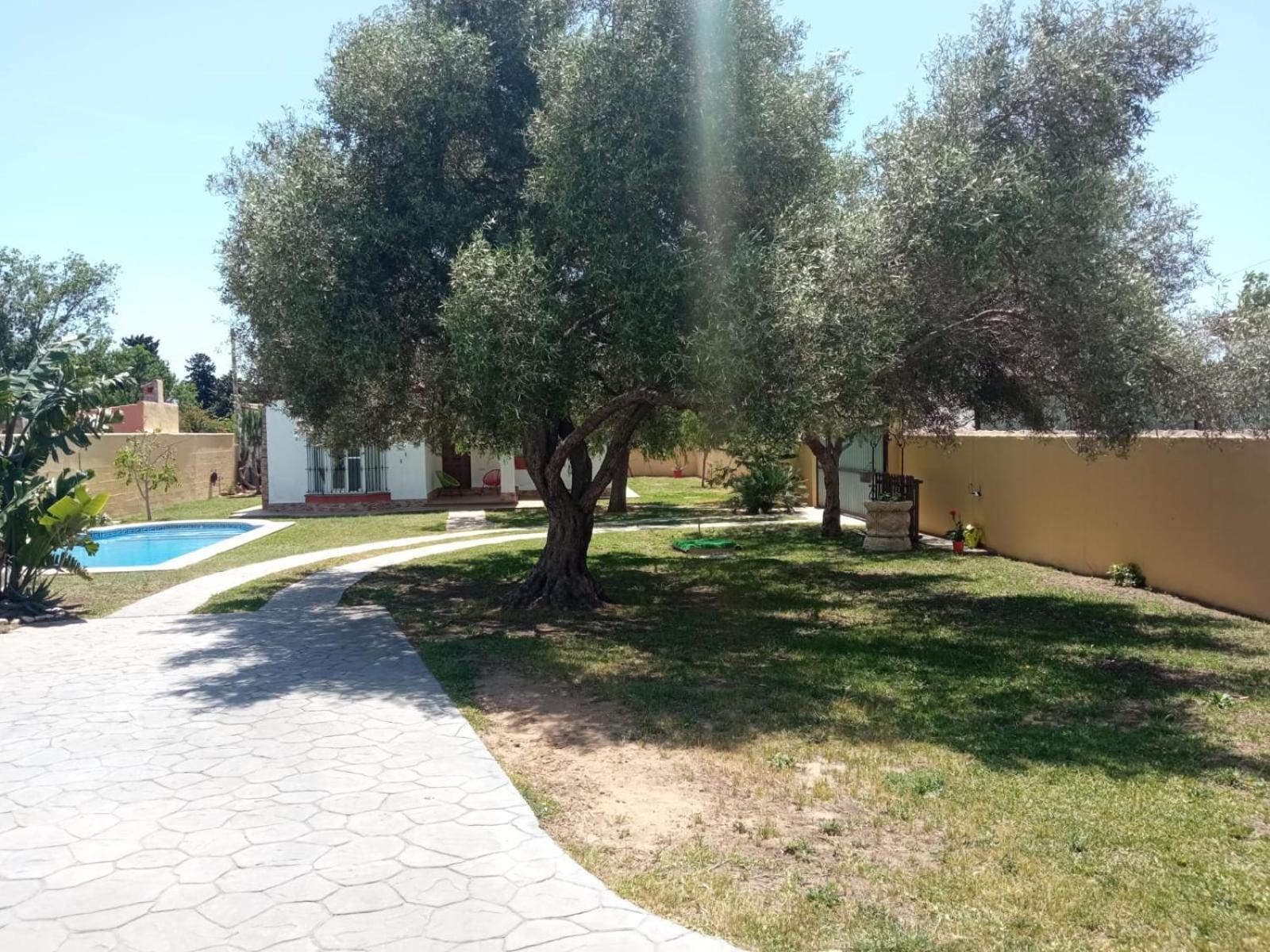 Chalet Pura Vida Chiclana de la Frontera Exteriör bild
