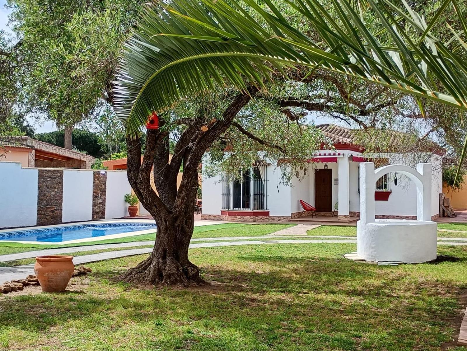 Chalet Pura Vida Chiclana de la Frontera Exteriör bild